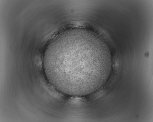 X0000111830607200907301321
