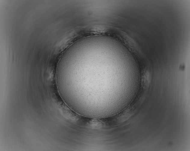 X0000111830608200907301321