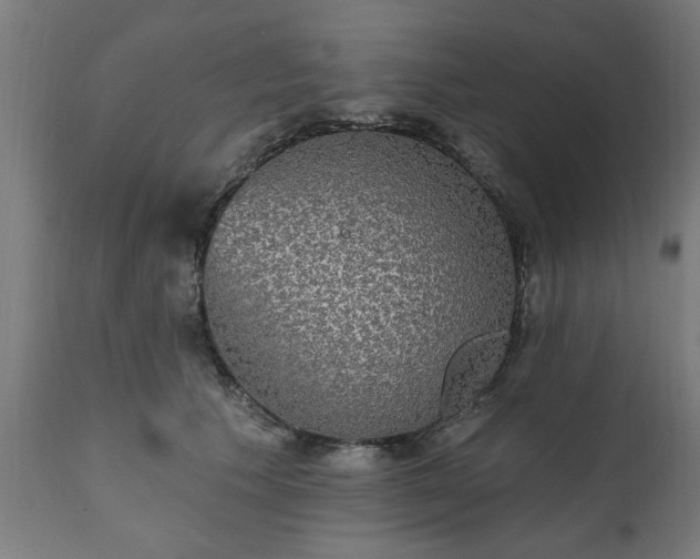 X0000111830609200907301321