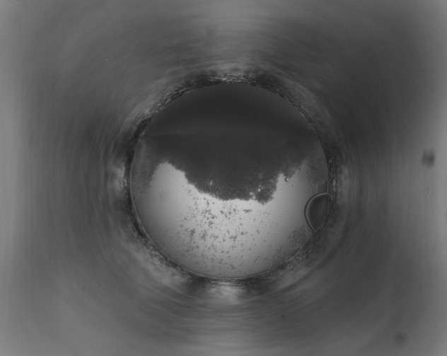 X0000111830610200907301321
