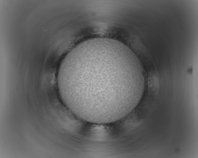 X0000111830611200907301321
