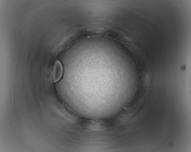 X0000111830612200907301321