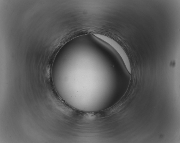 X0000111830613200907301321