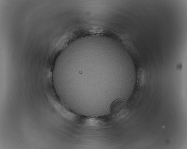 X0000111830614200907301321
