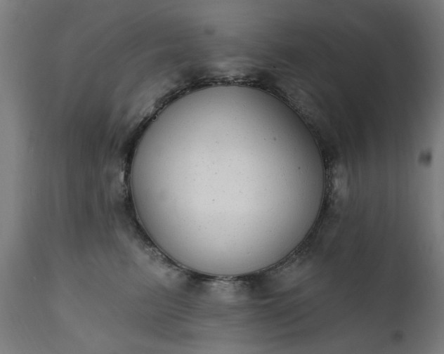 X0000111830615200907301321