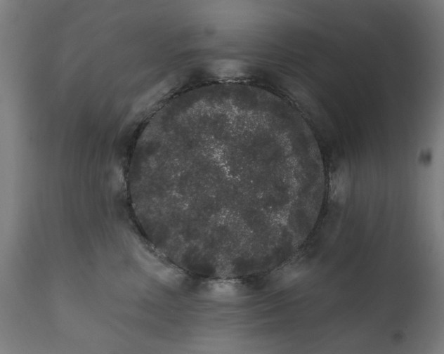 X0000111830618200907301321