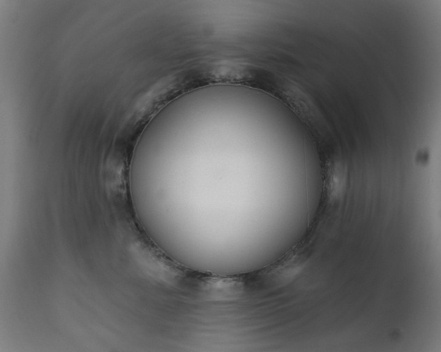 X0000111830619200907301321