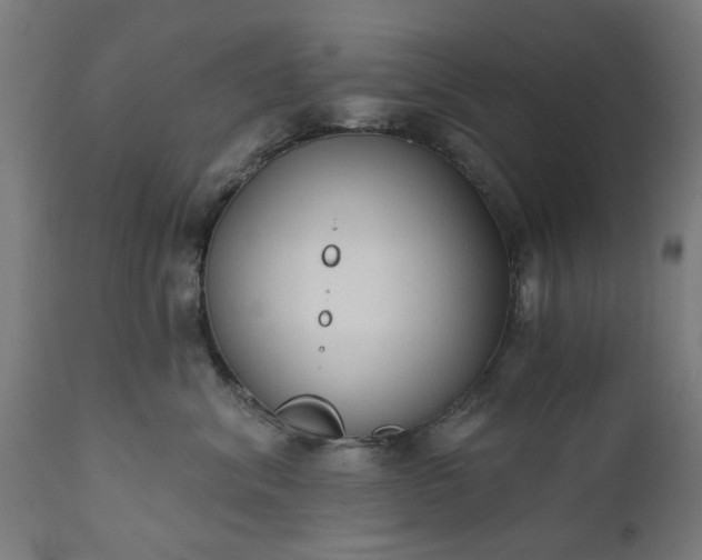 X0000111830620200907301321