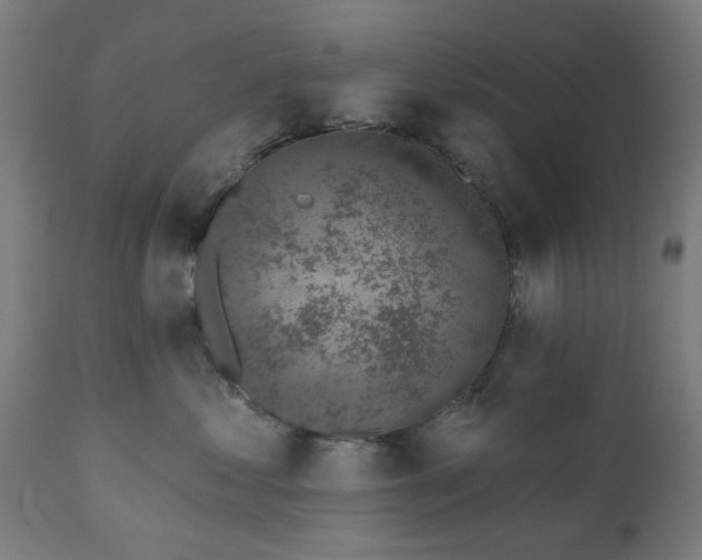 X0000111830621200907301321