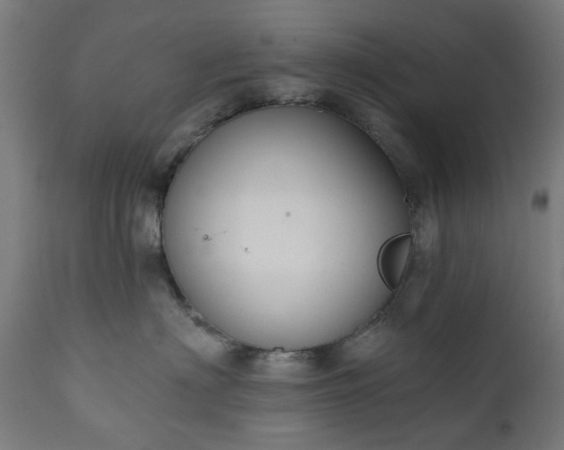 X0000111830622200907301321