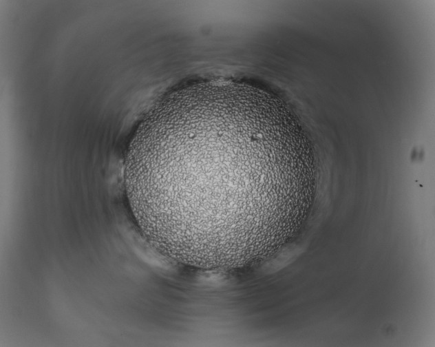 X0000111830624200907301321