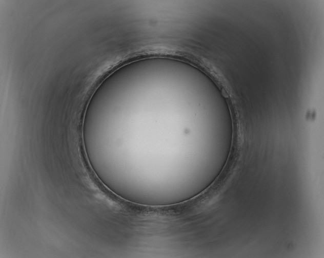 X0000111830625200907301320