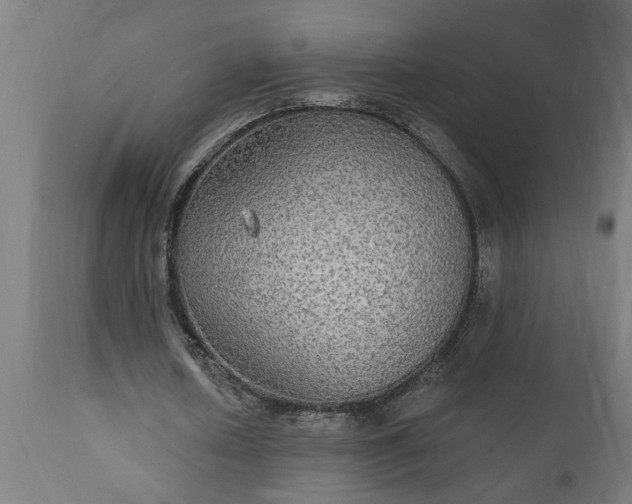X0000111830626200907301320