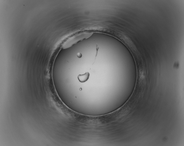 X0000111830628200907301320