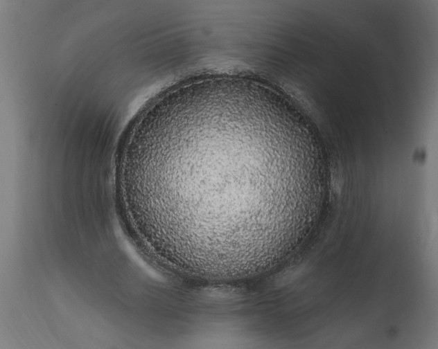 X0000111830630200907301320