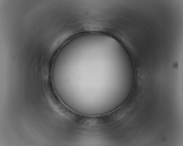 X0000111830631200907301320