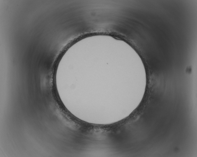 X0000111830632200907301320