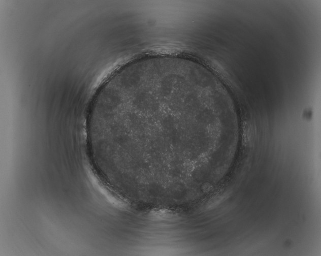 X0000111830634200907301320