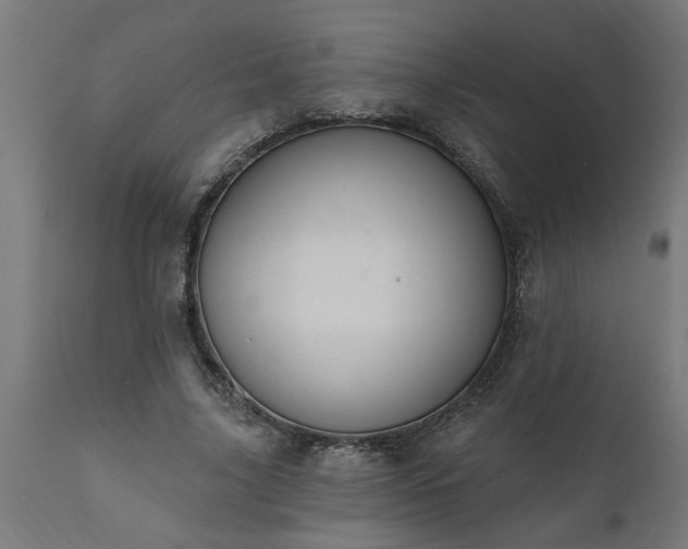 X0000111830635200907301320