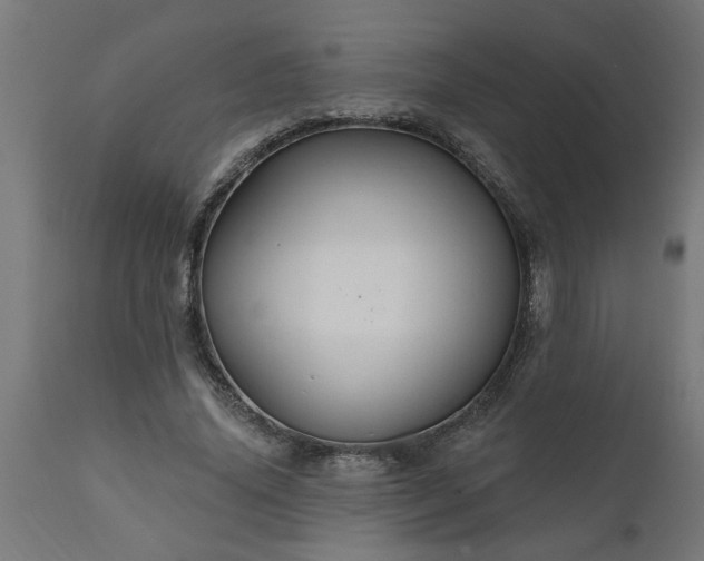 X0000111830636200907301320