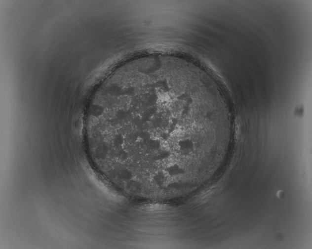 X0000111830637200907301320