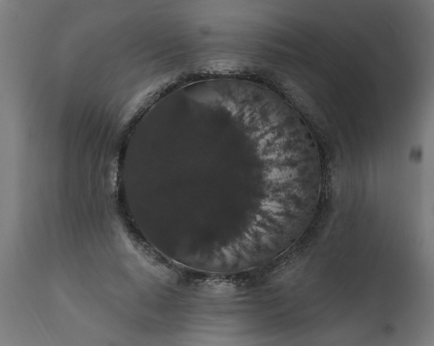 X0000111830640200907301320