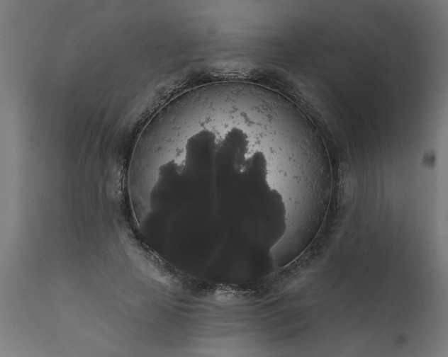 X0000111830641200907301320