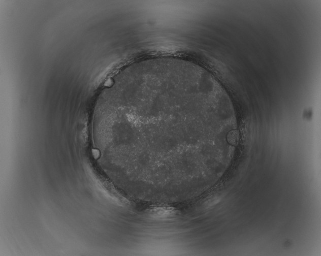 X0000111830642200907301320