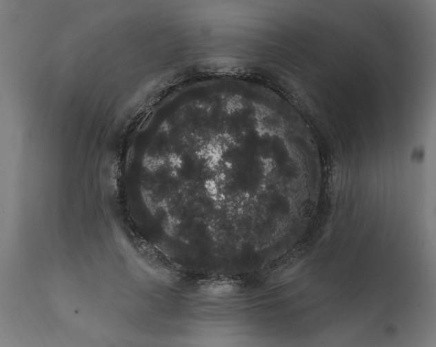 X0000111830643200907301320