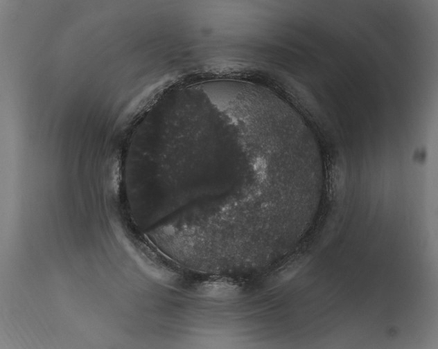 X0000111830644200907301320