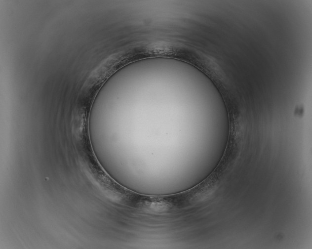 X0000111830645200907301320