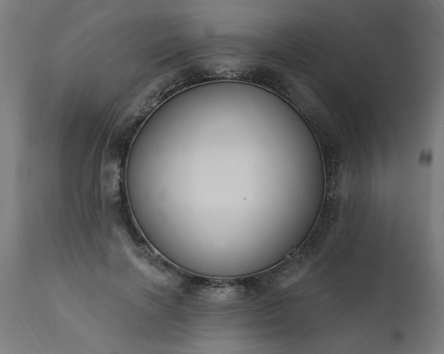 X0000111830646200907301320