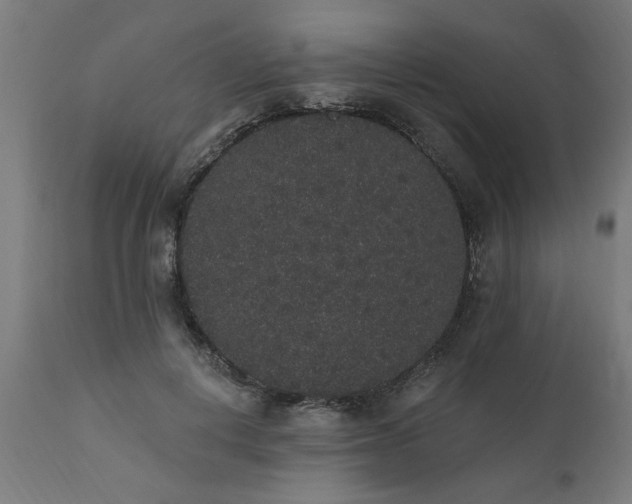 X0000111830648200907301321