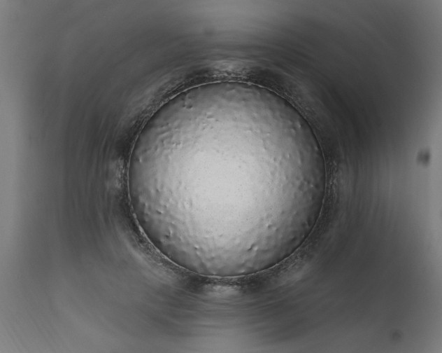 X0000111830649200907301321