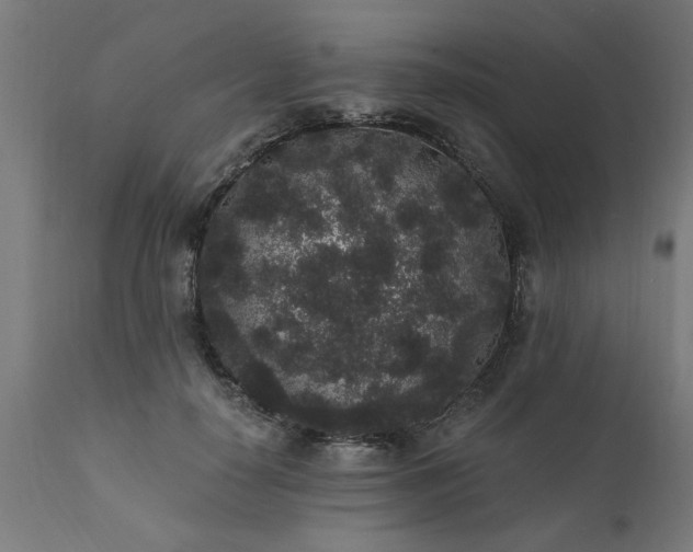 X0000111830650200907301321