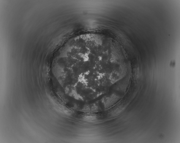 X0000111830653200907301321