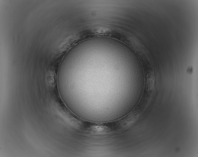 X0000111830654200907301321