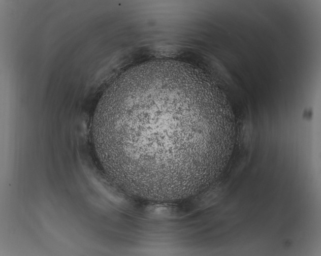 X0000111830655200907301321