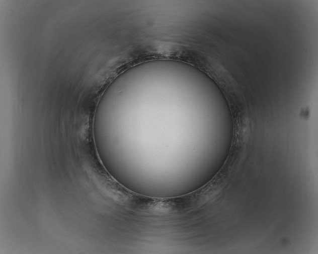 X0000111830656200907301321