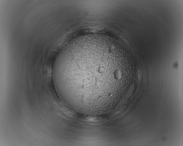 X0000111830657200907301321