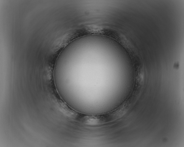 X0000111830658200907301321