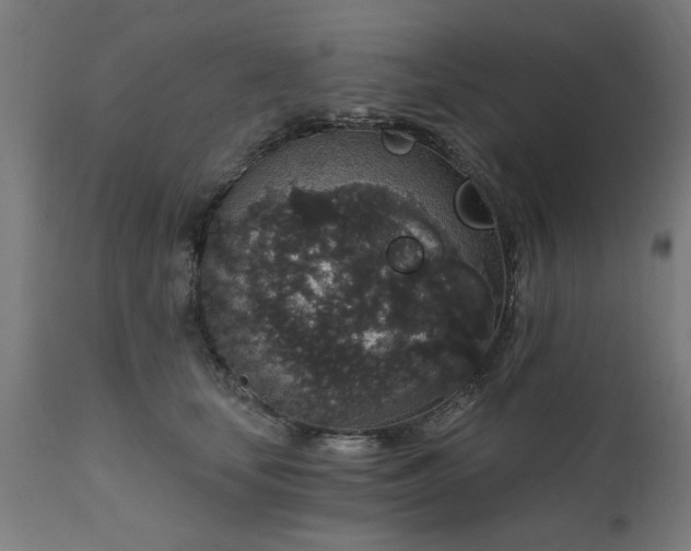 X0000111830659200907301321