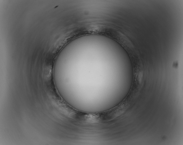 X0000111830660200907301321