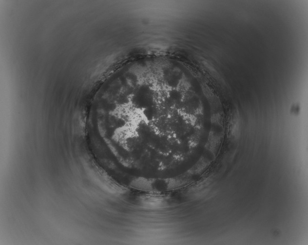 X0000111830661200907301321