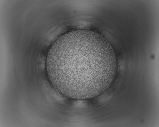 X0000111830664200907301321