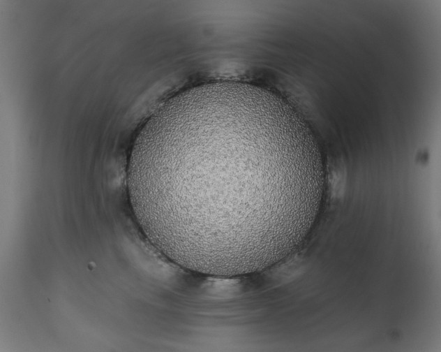 X0000111830665200907301321