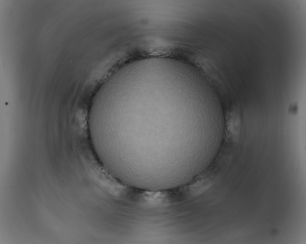 X0000111830667200907301321