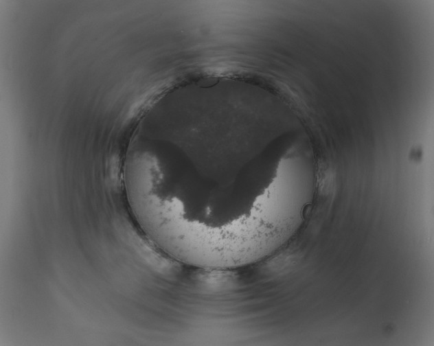 X0000111830670200907301321