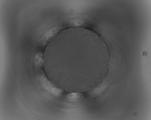 X0000111830672200907301321