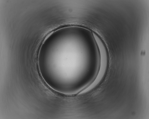 X0000111830673200907301320